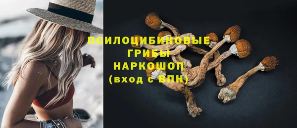шишки Новозыбков