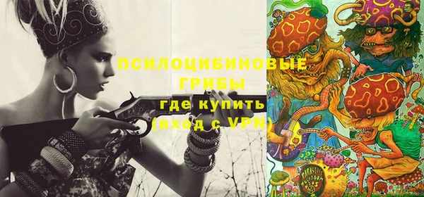 мяу мяу мука Аркадак