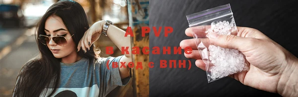 мяу мяу мука Аркадак