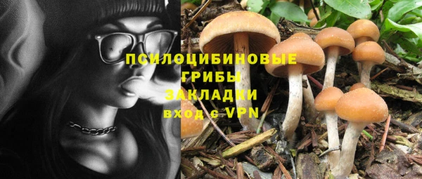a pvp Армянск