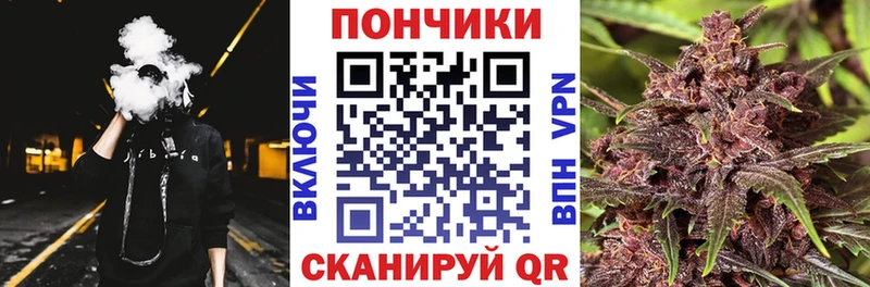 Марихуана сатива  Макаров 